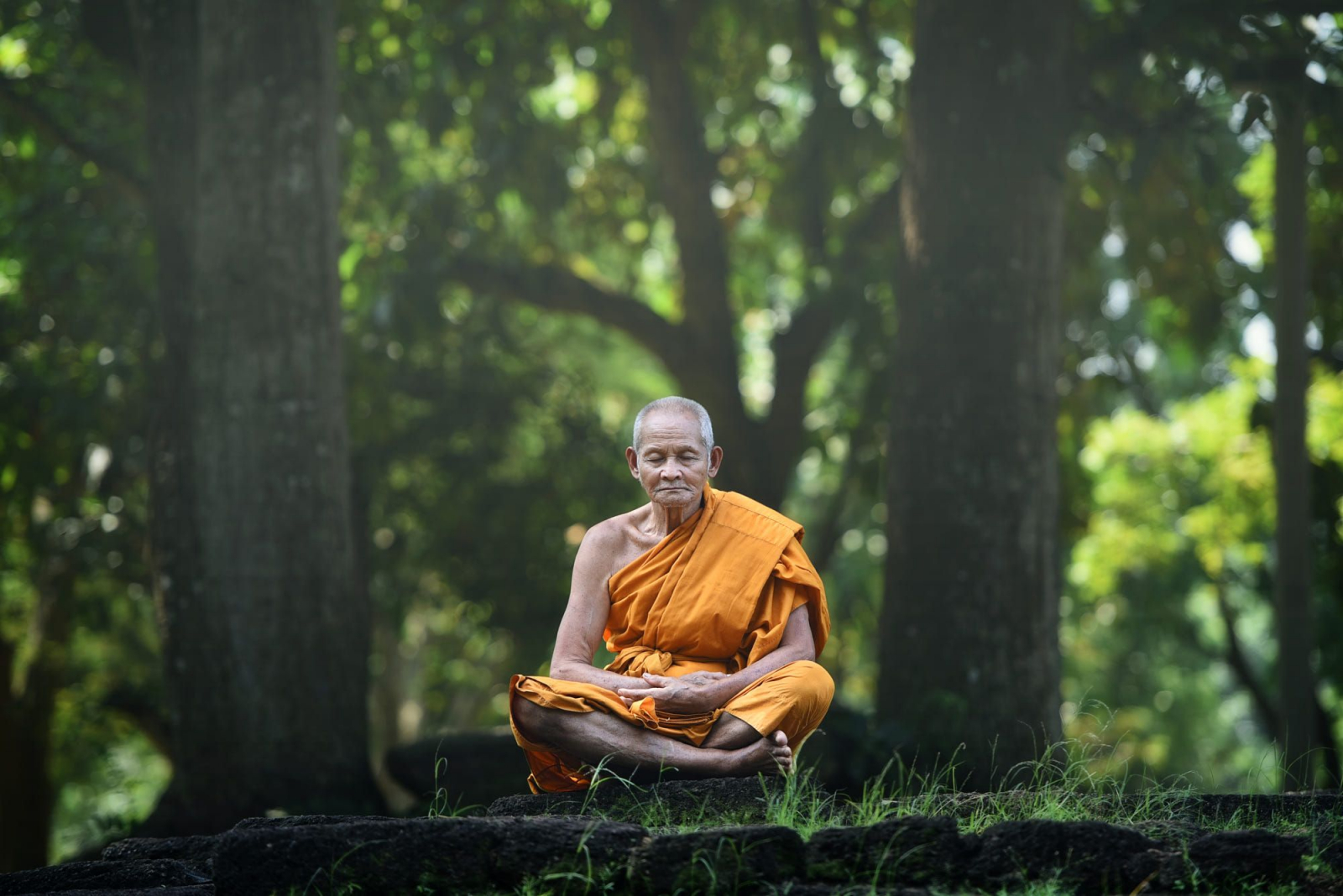 Thiền định là gì 2