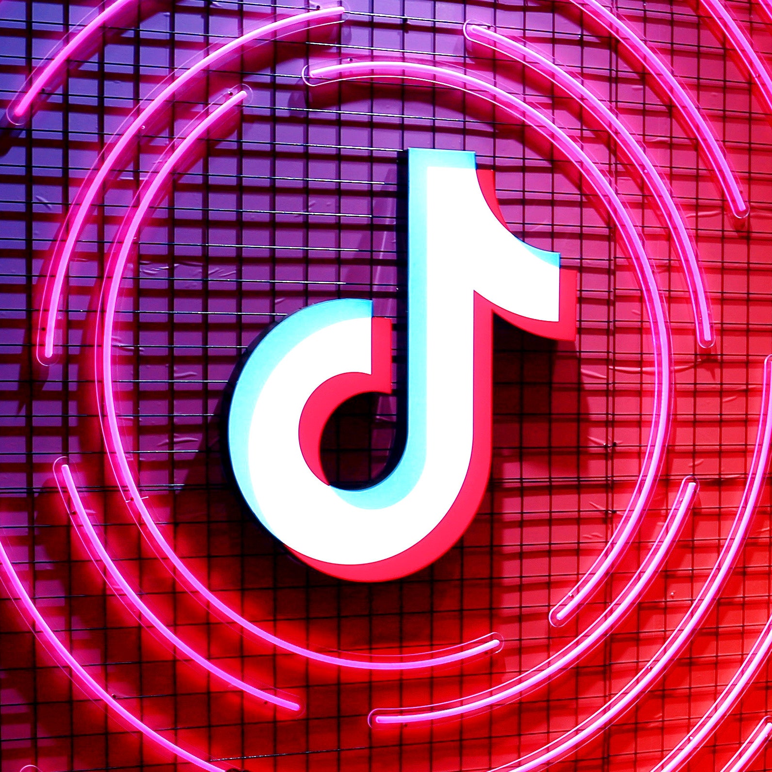 Cách tải video trên Tiktok không có logo 1